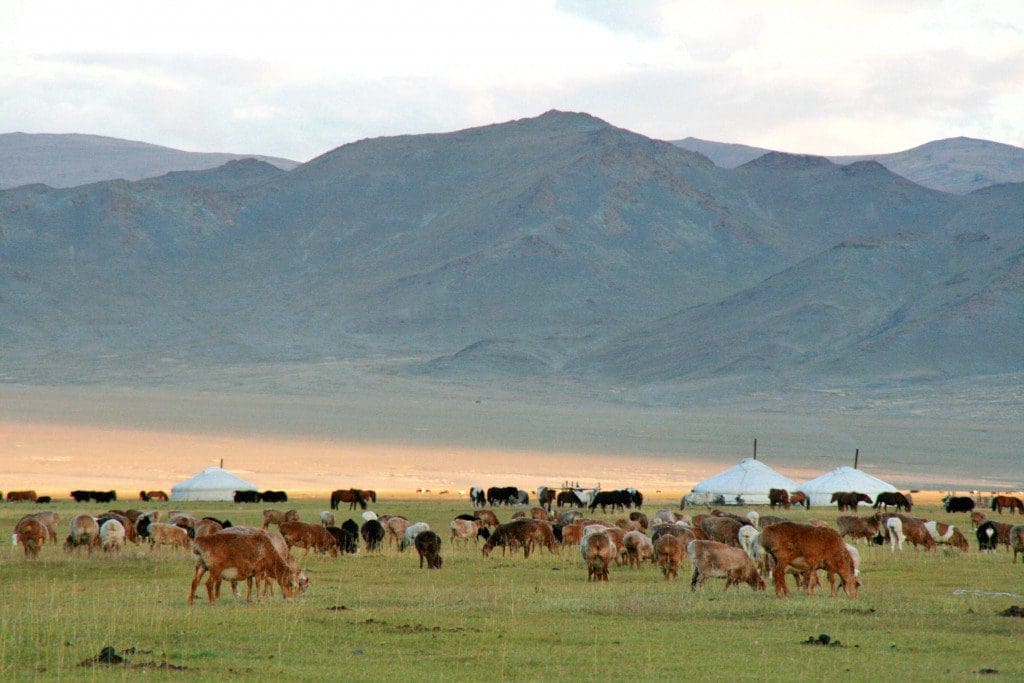 Paysage de Mongolie © Nomindari Shagdarsuren